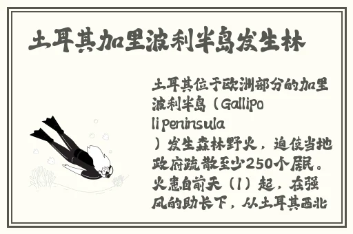 外国人打扑克又疼又痒